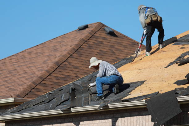 Best Roof Ventilation Installation  in Kennett, MO